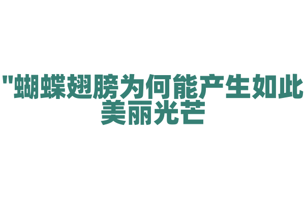 "蝴蝶翅膀为何能产生如此美丽光芒？"